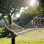 Quinta Do Tapadinho - Wine & Tourism * Moimenta