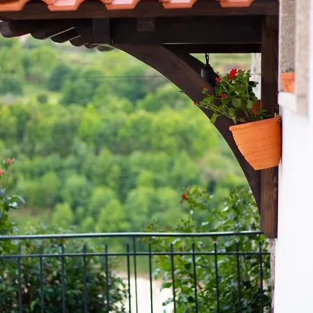 Quinta Do Tapadinho - Wine & Tourism Villa Moimenta