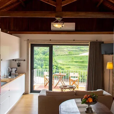 Villa Quinta Do Tapadinho - Wine & Tourism Moimenta
