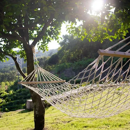 Quinta Do Tapadinho - Wine & Tourism * Moimenta