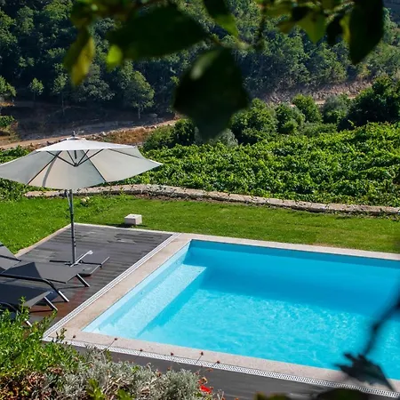 Villa Quinta Do Tapadinho - Wine & Tourism Moimenta