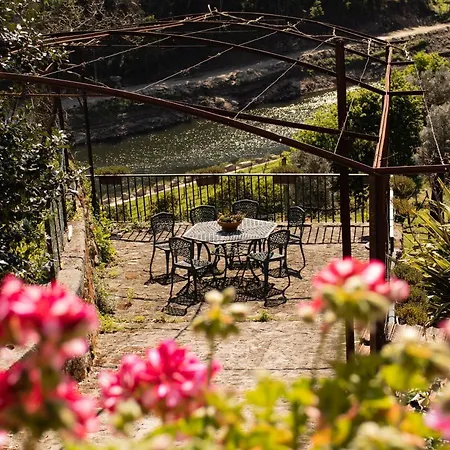 Quinta Do Tapadinho - Wine & Tourism * Moimenta