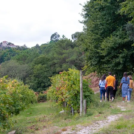 Quinta Do Tapadinho - Wine & Tourism Villa Moimenta