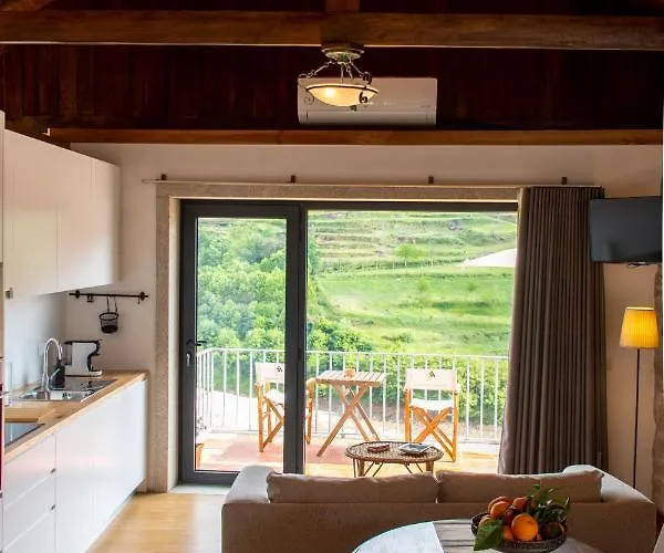 Villa Quinta Do Tapadinho - Wine & Tourism Moimenta