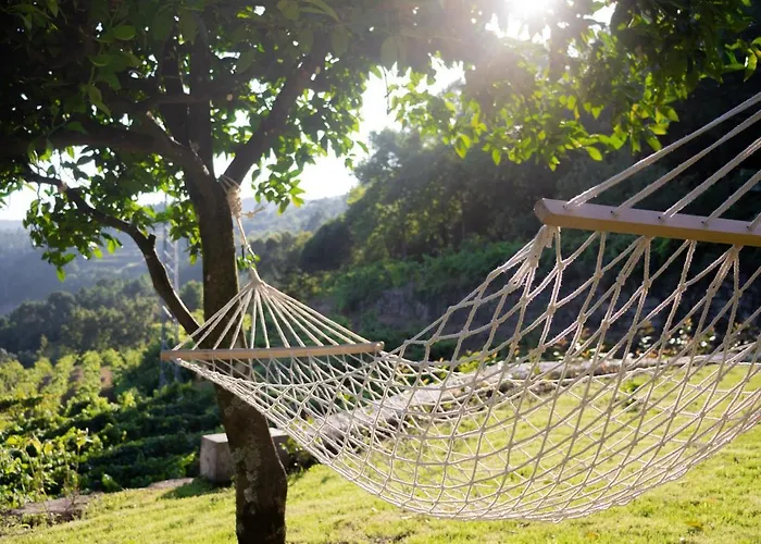 Quinta Do Tapadinho - Wine & Tourism * Moimenta