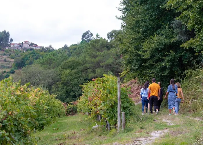 Quinta Do Tapadinho - Wine & Tourism Villa Moimenta