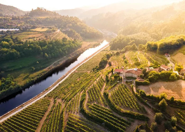 Quinta Do Tapadinho - Wine & Tourism Villa Moimenta